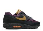 Air Max 1 Premium ‘Pro Purple Fade’