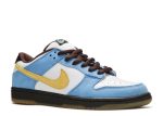 Dunk Low Pro SB ‘Homer’