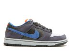 Dunk Low Pro SB ‘Patagonia’