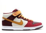 Dunk Mid Pro Sb