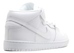 Dunk Mid Pro Sb