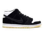 Dunk Mid Pro Sb