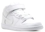 Dunk Mid Pro Sb