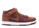 Dunk Mid Pro SB