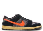 SB Dunk Low Premium ‘Brian Anderson’