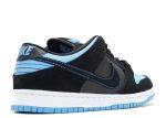 SB Dunk Low Pro