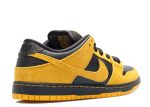 SB Dunk Low Pro ‘Iowa’