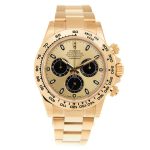 rolex-cosmograph-daytona-black-and-champagne-dial-mens-18kt-yellow-gold-oyster-watch-116508bkcso-s9wek.jpg