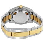 rolex-datejust-36-champagne-dial-mens-stainless-steel-and-18kt-yellow-gold-oyster-watch-126233cso-nll40.jpg